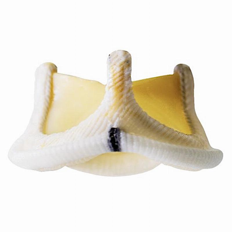 DDL25A Dafodil Аортальний біопротез клапану серця, діаметр 25 мм